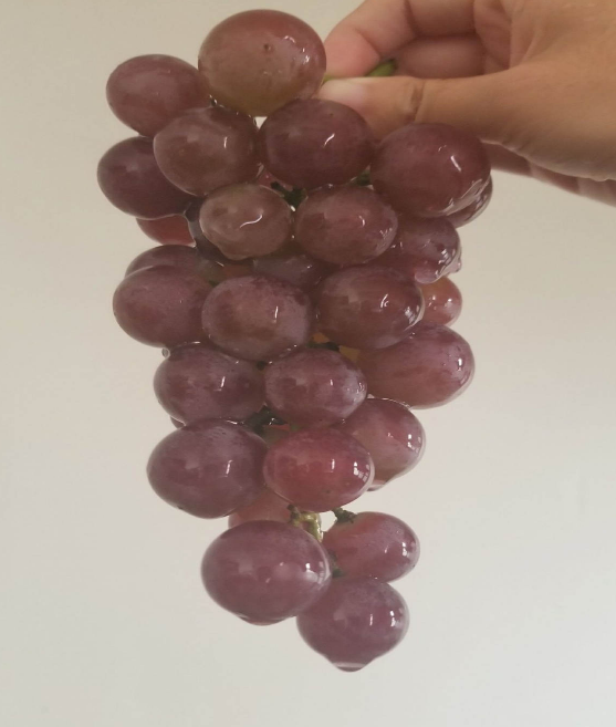 葡萄干怎么保存，葡萄干储存温度（葡萄干的制作方法太奇特）