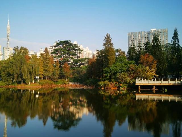 番禺化龙镇景区，快来pick你的“打卡点”吧