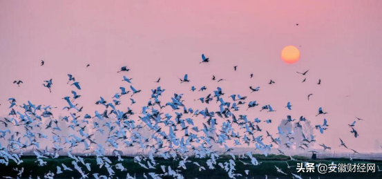颖州是今哪里，宋朝的颖州是现在的哪个城市（诗意颍州，传奇阜阳）