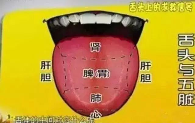 健康的舌头图片，如何判断自己的舌头健康状况（五脏在舌头均有反射区）