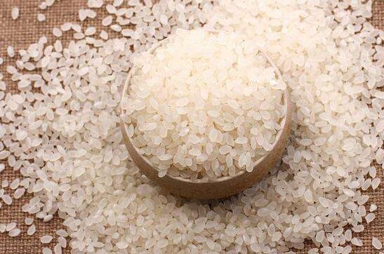 图片[2]-挑选米的方法  各种米的营养和适合的做法一览-起舞食谱网