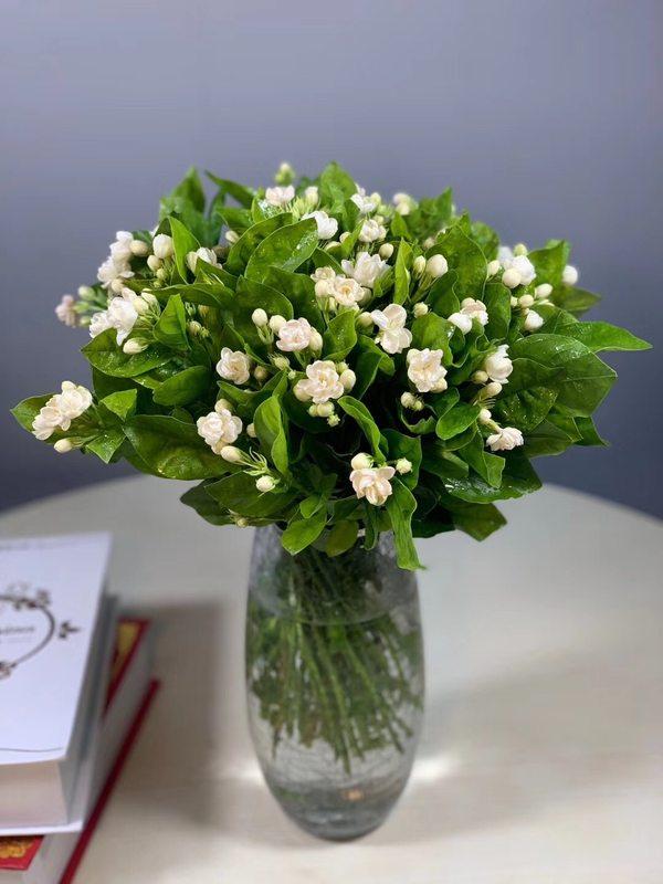 铃兰花的花语，从此买花送人不出错（铃兰花的花语与寓意）