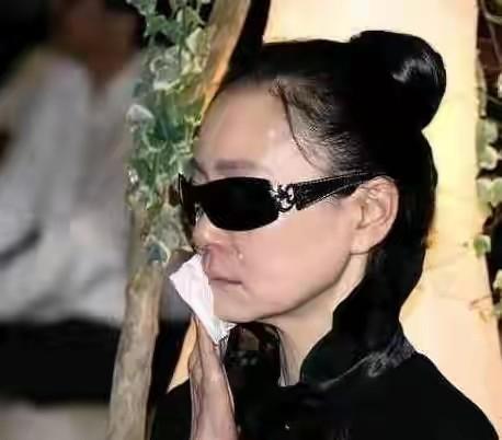 刘德凯和刘雪华，刘雪华电视剧大全集（刘德凯就这样改写了刘雪华的结局）