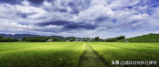 什么是代征道路用地，规划红线含代征城市道路用地（征收时遇到“以租代征”套路）