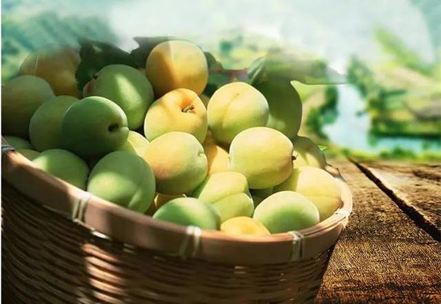 青梅竹马出自哪个典故，青梅竹马取自哪个典故（你知道是哪一种植物果实吗）