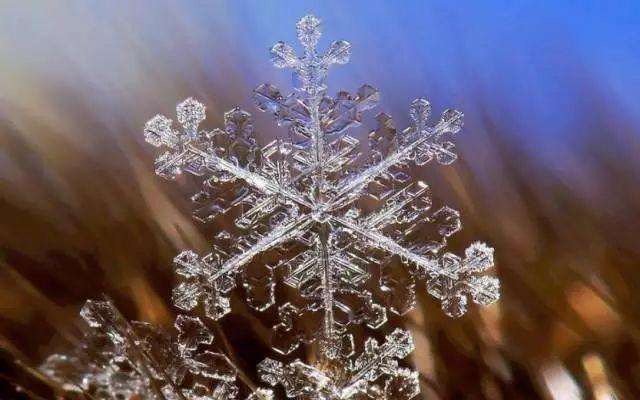 雪的组词有哪些，雪组词（雪的24种别称，简直美醉了）