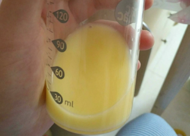 牛奶初乳的营养价值，什么牛奶含有牛初乳（初乳对新生儿来说堪比“金子”）