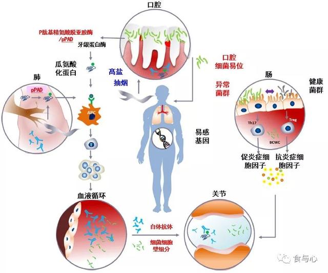 sfb是什么意思，sfnb是什么意思（你必须知道的热知识<二>）