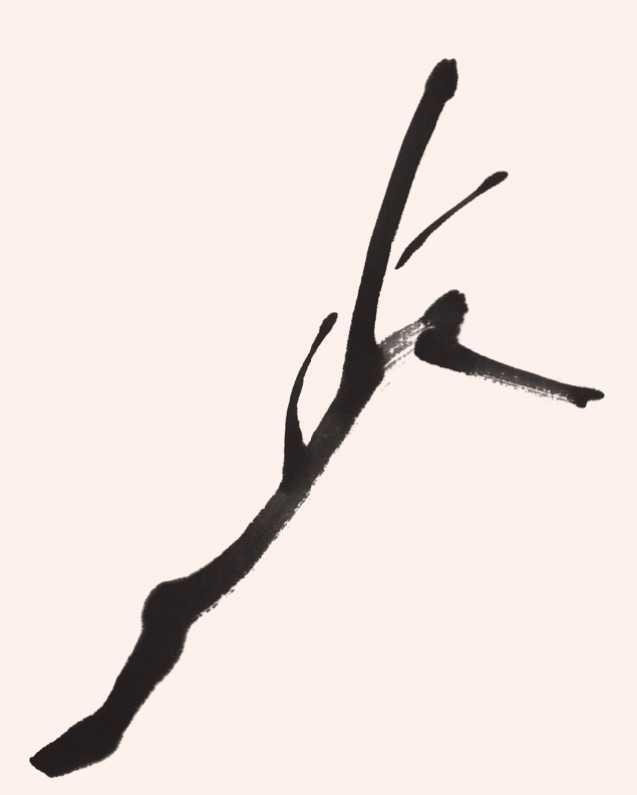 简单国画梅花，怎么样用圈点结合画法画梅花