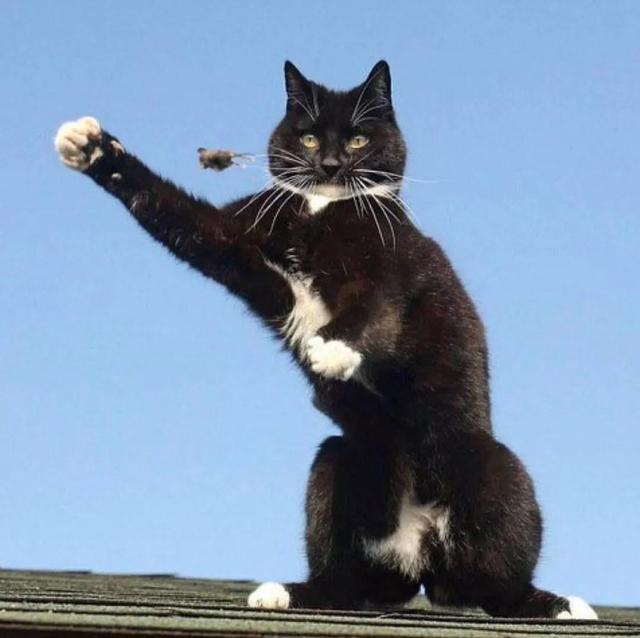 多人闺蜜简单漫画头像微信，多人闺蜜简单漫画头像（快来收图吧）