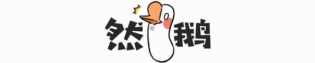 养雪鸮犯法吗，宠物雪貂多少钱一只（猫头鹰的构造原来这么奇葩）