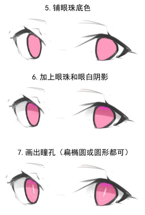 五官有哪些，人的五官准确是哪五官（动漫人物五官的详细画法）