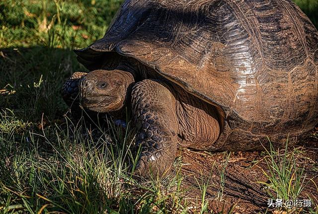厄瓜多尔在哪里，厄尔多瓜具体在哪里（走进厄瓜多尔——世界上唯一以“赤道”命名的国家）