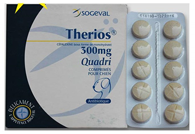 哪些消炎药可以给狗吃，可以给狗吃的消炎药有哪些（一些宠物常见的消炎药）