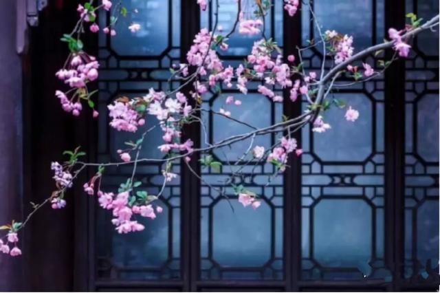 灯笼的寓意是什么，国庆灯笼的寓意是什么（传统纹样——灯笼纹）