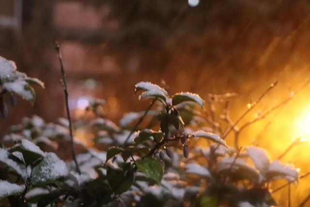 安徽三联学院地址，安徽三联学院怎么样好不好全国排名第几（<三十三>安徽三联学院）