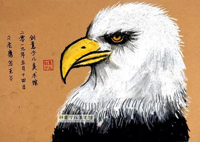 老鹰的眼睛的特点，老鹰的眼睛像什么一样锐利（油画棒色彩练习画雄鹰）