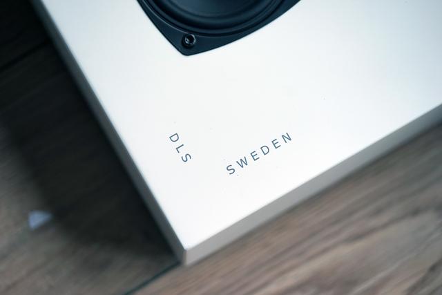 dls是什么意思，Flatmini