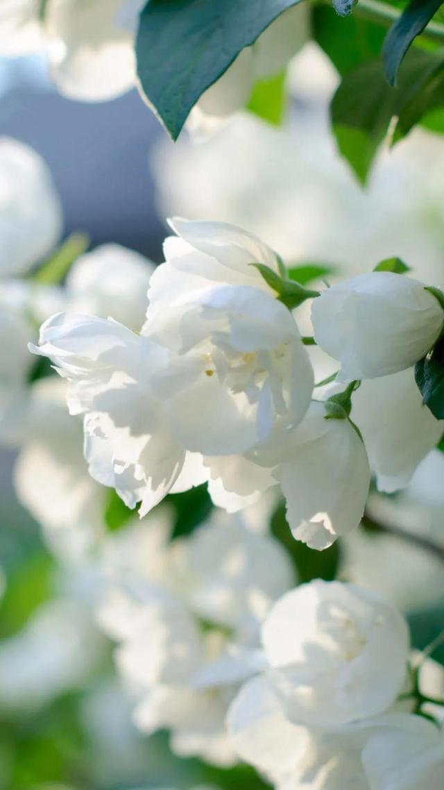 此去经年什么意思，何为＂此去经年，不负遇见＂（不负遇见；遇见）