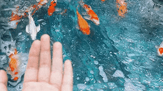 运气不好的10个先兆，一个人开始转运的最大征兆（好运来临的10个征兆）