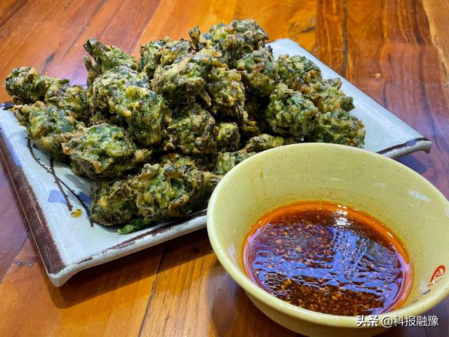 怎样炖羊三宝，怎样炖羊三宝最好吃（宴渠老烩面：触动无数人的味蕾）