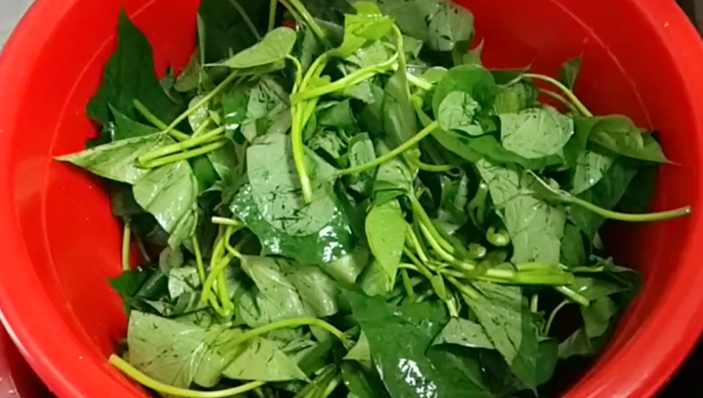 圖片[3]-【炒紅薯葉】做法步驟圖 教你一招 出鍋又青又脆一盤不夠吃-起舞食譜網