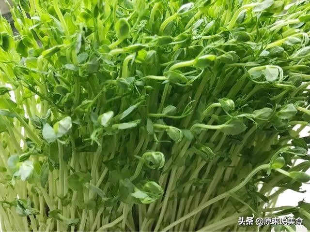 龙须菜的做法大全家常，这菜称为“龙须菜”