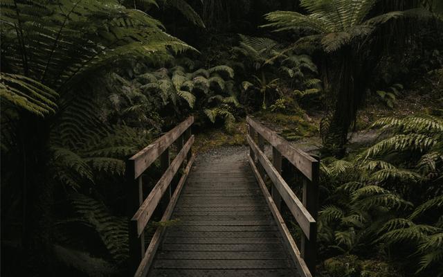 好吃不如饺子下一句，俗语好吃不如饺子下一句是什么（俗语赏析：好吃不如饺子）