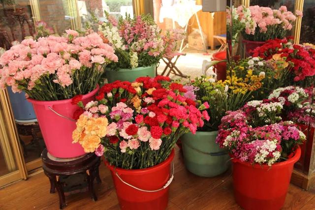 仓鼠公母怎么区分，仓鼠的公母怎样区分（朋友圈一大波狗粮来袭）