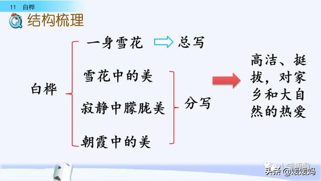 悠扬的近义词，“悠扬”的近义词是什么（四年级下册语文第11课《白桦》图文详解及同步练习）