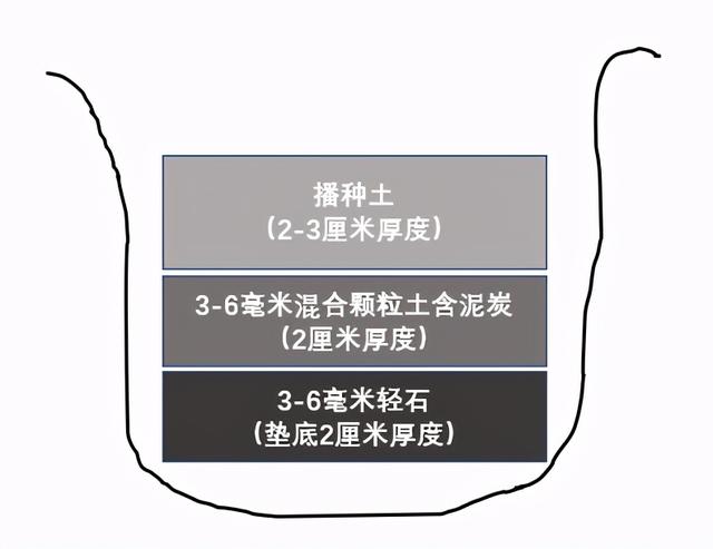 肉锥怎么养，肉锥怎么养根（访谈Farmer花友-肉锥的养护）