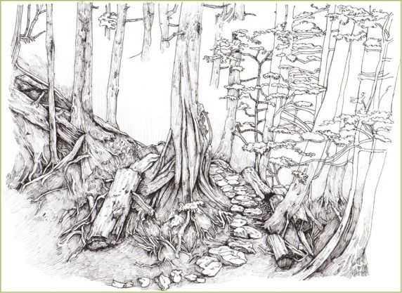 马克笔绘画教程风景画，马克笔绘画教程入门（适合初学者学习的彩铅风景画步骤教程）