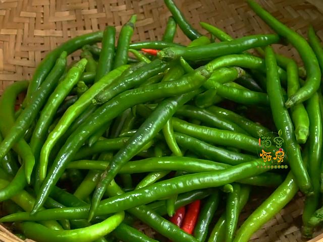 线椒怎么腌制好吃，在家怎么腌制线椒好吃（线椒学会这样腌）