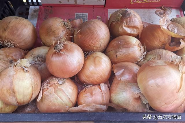 小葱和大葱的区别，小葱和大葱的区别有哪些（国内葱属蔬菜大全，你认识几个）