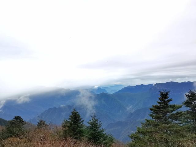 神农架旅游攻略，神农架二日游路线（神农架景区旅游攻略）