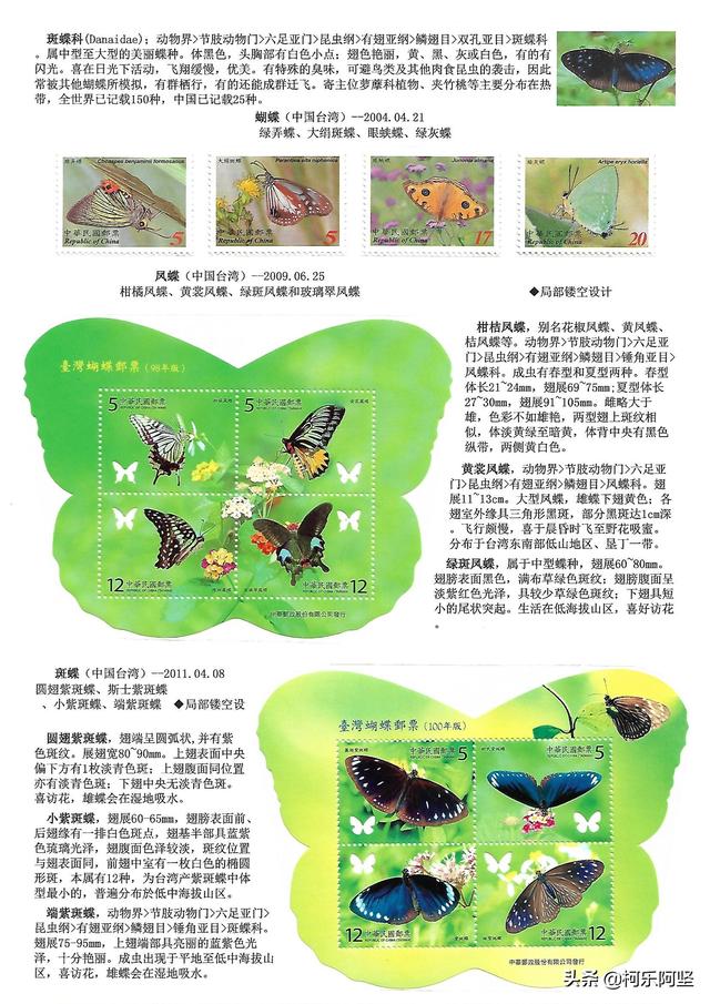 蝴蝶和蛾子的区别，蝴蝶和飞蛾有什么区别（鳞翅目昆虫-蝴蝶与蛾）