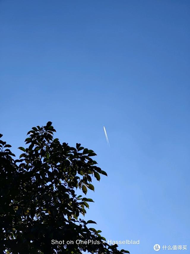 一加和oppo，一加手机是oppo的吗（谈谈我选择一加9Pro的购买取舍）