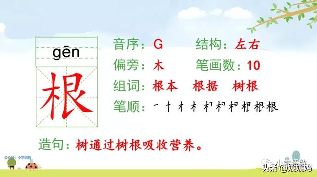 慢慢拼音怎么读,慢慢拼音(二年级下册语文课文19《大象的耳朵》图文详解及同步练习)