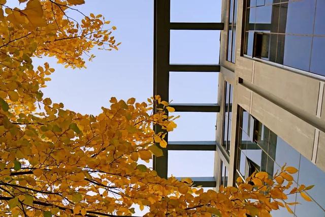 辽宁科技大学宿舍，2021年辽宁科技大学新生宿舍条件图片环境怎么样（<十五>辽宁科技大学）