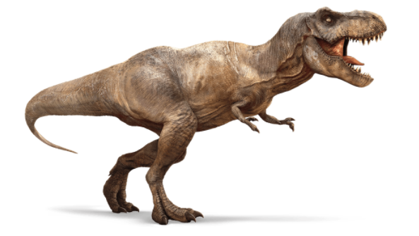 霸王龙 ,又名暴龙,属暴龙科中的一种,模式种雷克斯霸王龙,最大个体