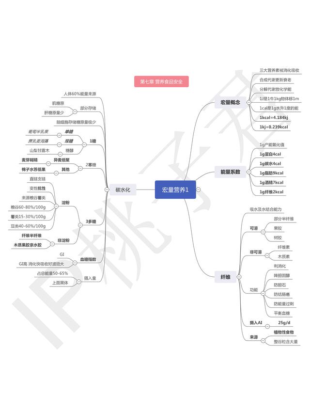氮平衡的概念及分类，氮平衡的定义（《健康管理师三级》学习笔记）