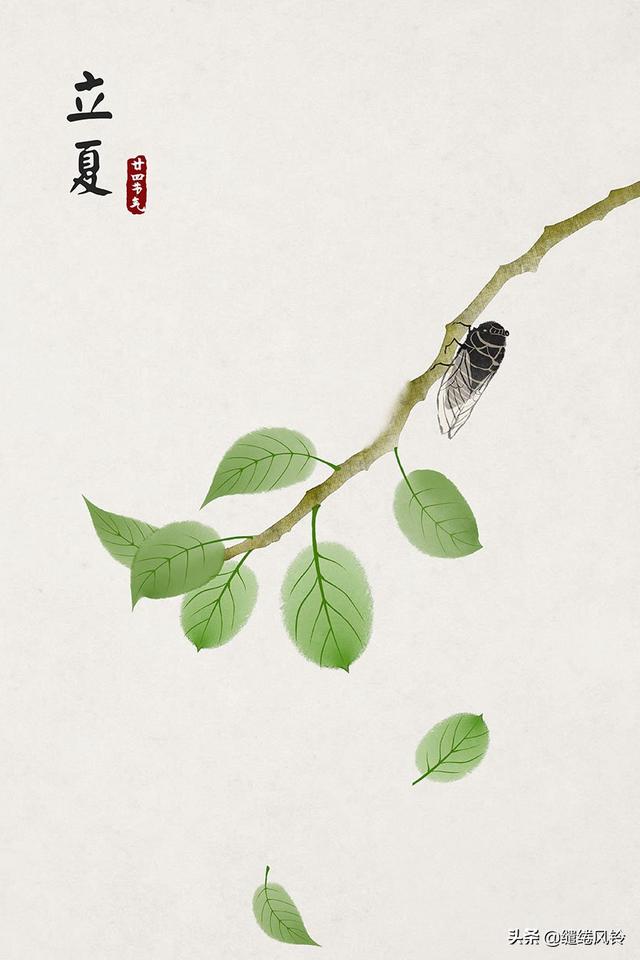 春雨惊春清谷天，春雨惊春清谷天全诗（二十四节气<春夏篇>）