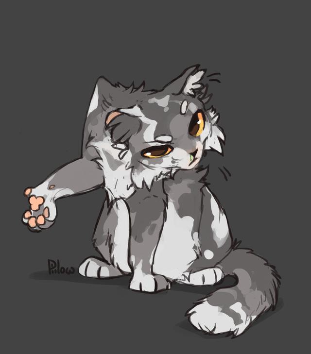 猫咪头像微信，猫咪头像（哪只像你的小可爱）