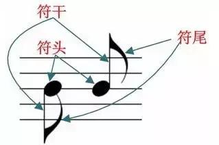 十六分音符怎么画，4分音符,8分音符,16分音符（如何教孩子快速认识并记住音符）
