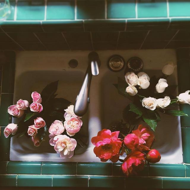 100句阳光的句子，阳光 的句子（阳光短句子：生活给了你阴影）