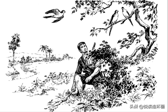 鲁滨逊漂流记小说，鲁滨孙漂流记是第几人称的小说（5分钟了解名著《鲁滨逊漂流记》-儿童阅读经典）