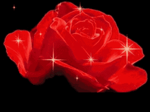 七月七日是情人节吗，每个月十四号都是什么情人节（今天是7月7日情人节）