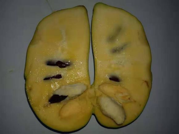 实在是很冷门的一种水果,成熟时有浓郁的似香蕉,芒果,苹果的混合香味