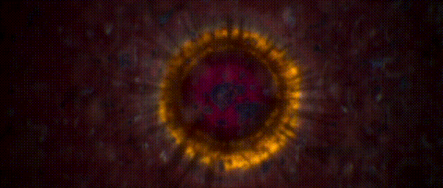 湮灭电影解析，湮灭电影剧情深度解析（烧脑神作还是故作深沉的烂片）