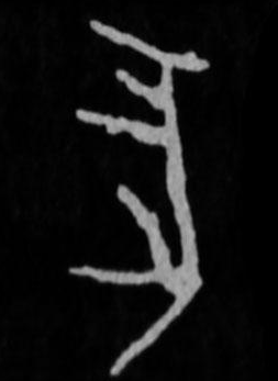 猪在古代的称呼，猪在古代叫什么（“猪”与“家”的汉字演变与文化内涵）